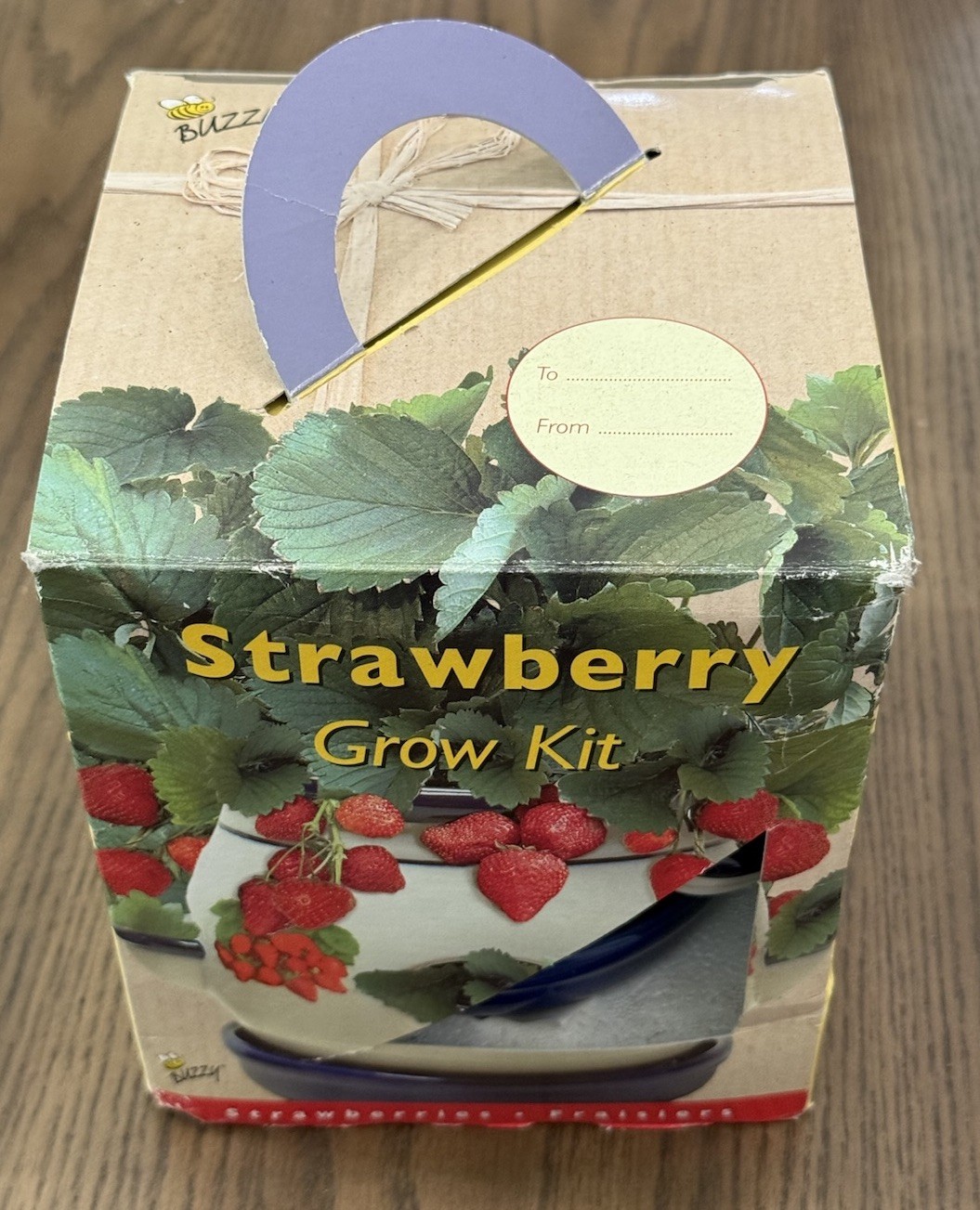 VTG Buzzy Strawberry Grow Kit Planter Porcelain Planter Cottage Core NEW