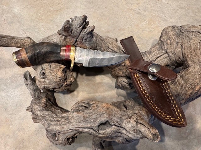 Sweet Mini Rams Horn Damascus Bowie knife in leather sheath