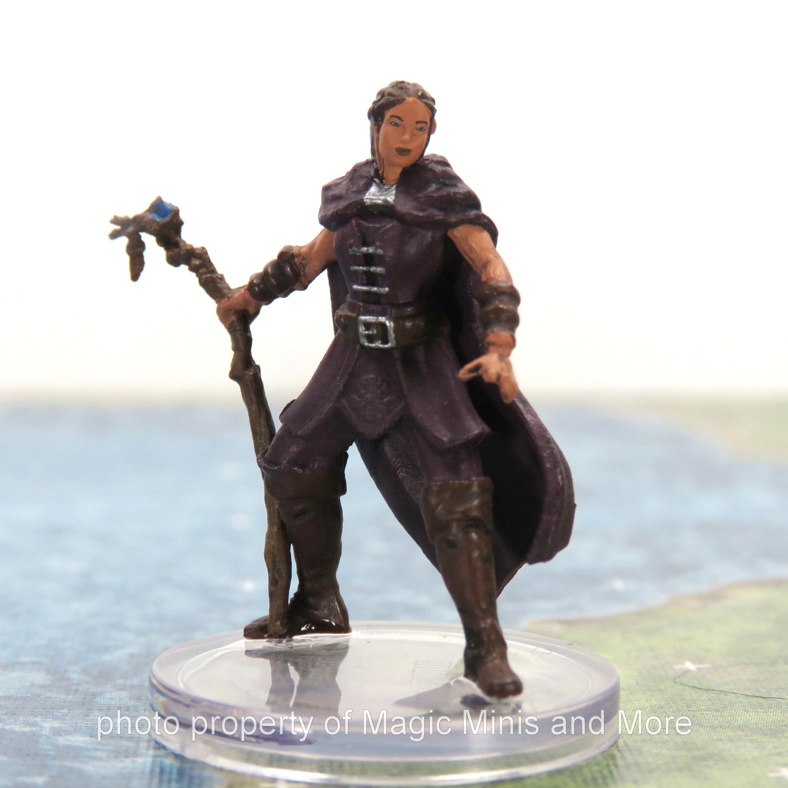 Seas & Shores ~ DRUID #11 D&D Icons of the Realms shaman miniature