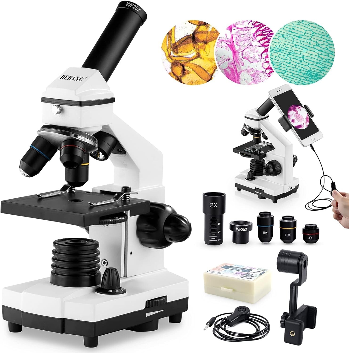 Microscope for Adults Kids, 100X-2000X BEBANG Compound Microscope *Open Box