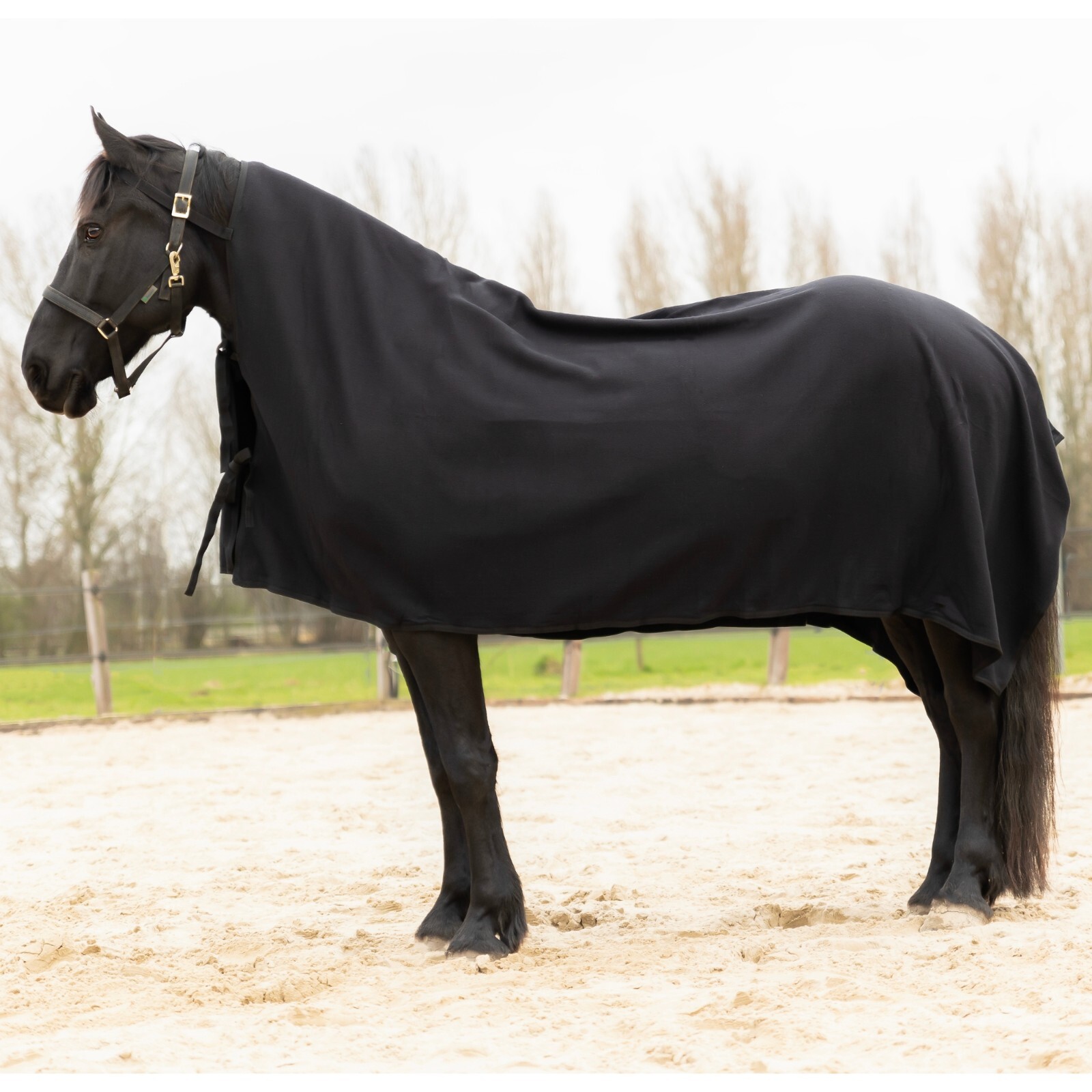 Resistance Long Lasting & Warm Soft Fleece Square Cooler for Horse Free Shipping
