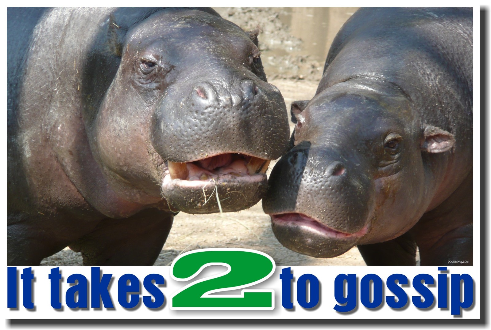 NEW Classroom Motivational POSTER - It Takes 2 To Gossip - Hippo