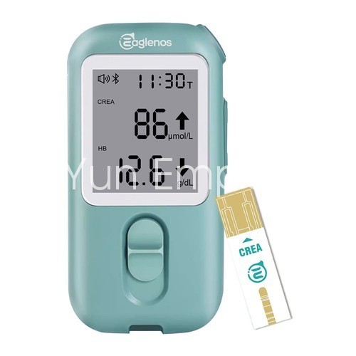 Multifunctional Blood Creatinine Meter with 25pcs Creatinine Test Strips