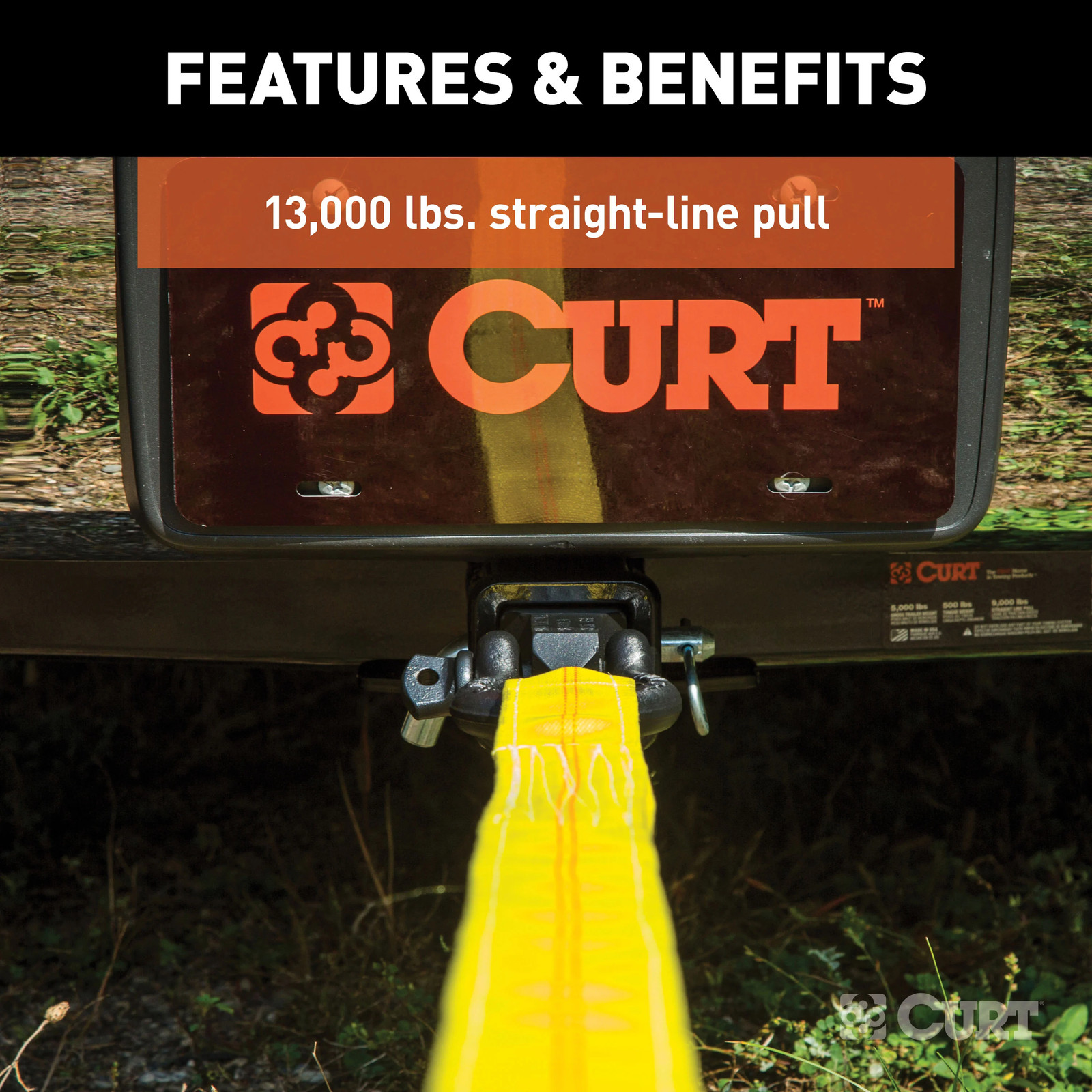 CURT D-Ring Shackle Mount 2in Shank 45832