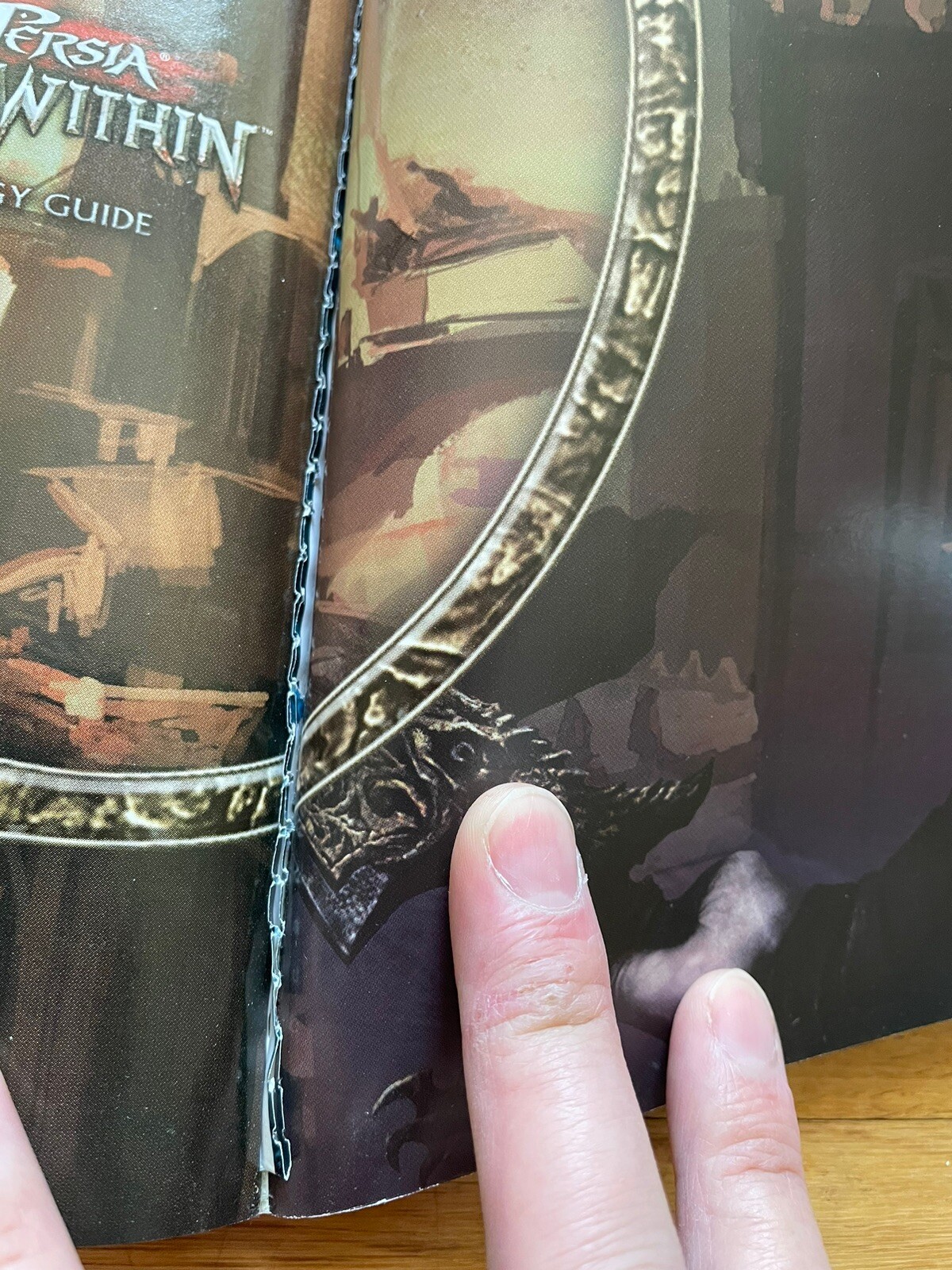 NEW Prince of Persia Warrior Within Official Strategy Guide NO PosterPS2