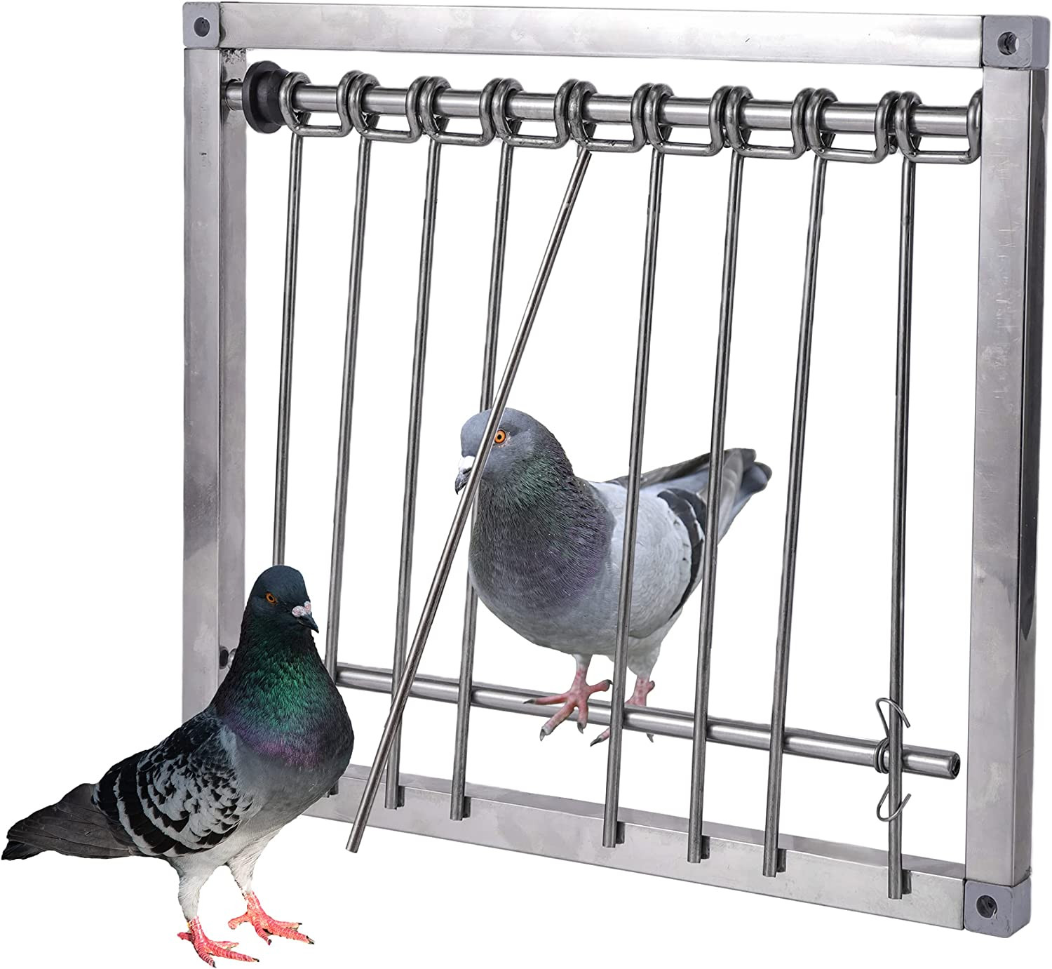Pigeon Trap Door Stainless Steel Entrance Trap Suitable for Quail Poultry Birds