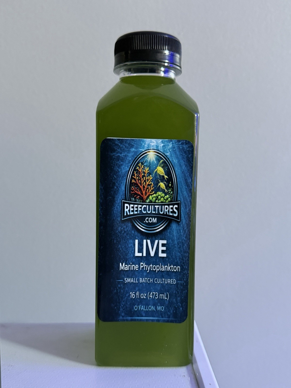 Live Phyto Plankton Aquarium Fish Tank Food 16 oz 2 Pack Live Fish Food USA NEW