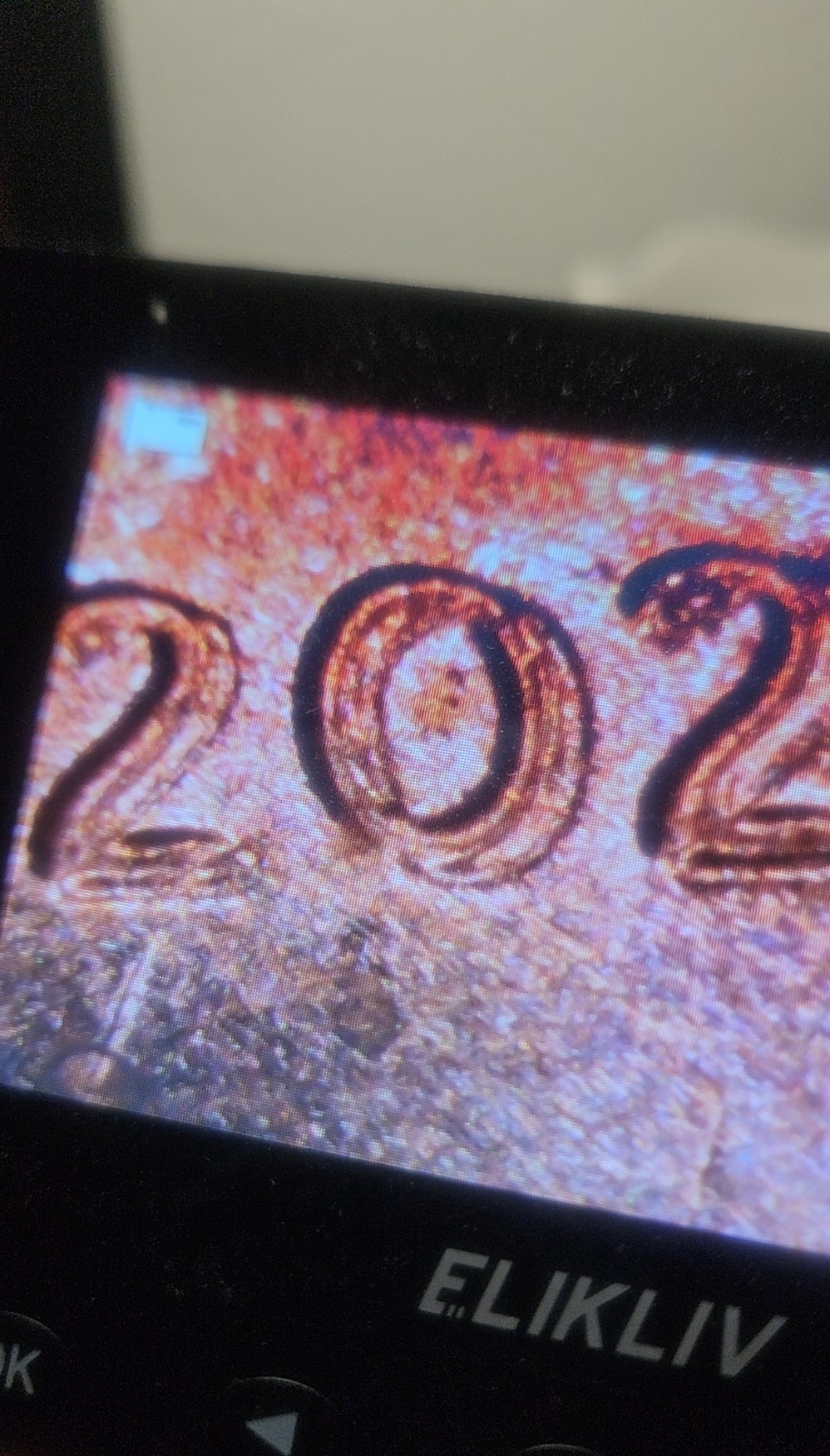 2024 P DDO/DDR Lincoln Cent