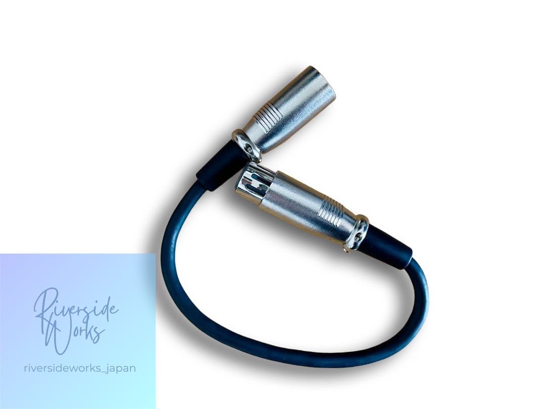 DITTO Mic Looper
