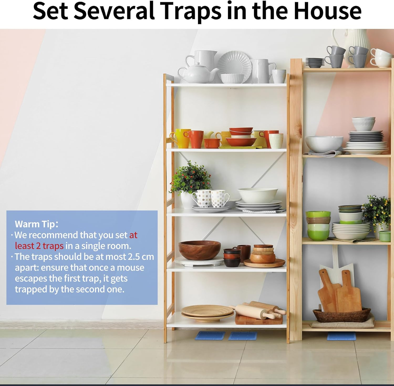 Mouse & Insect Traps 12 Pack, Heavier Sticky Traps with Non-Toxic Glue for Small