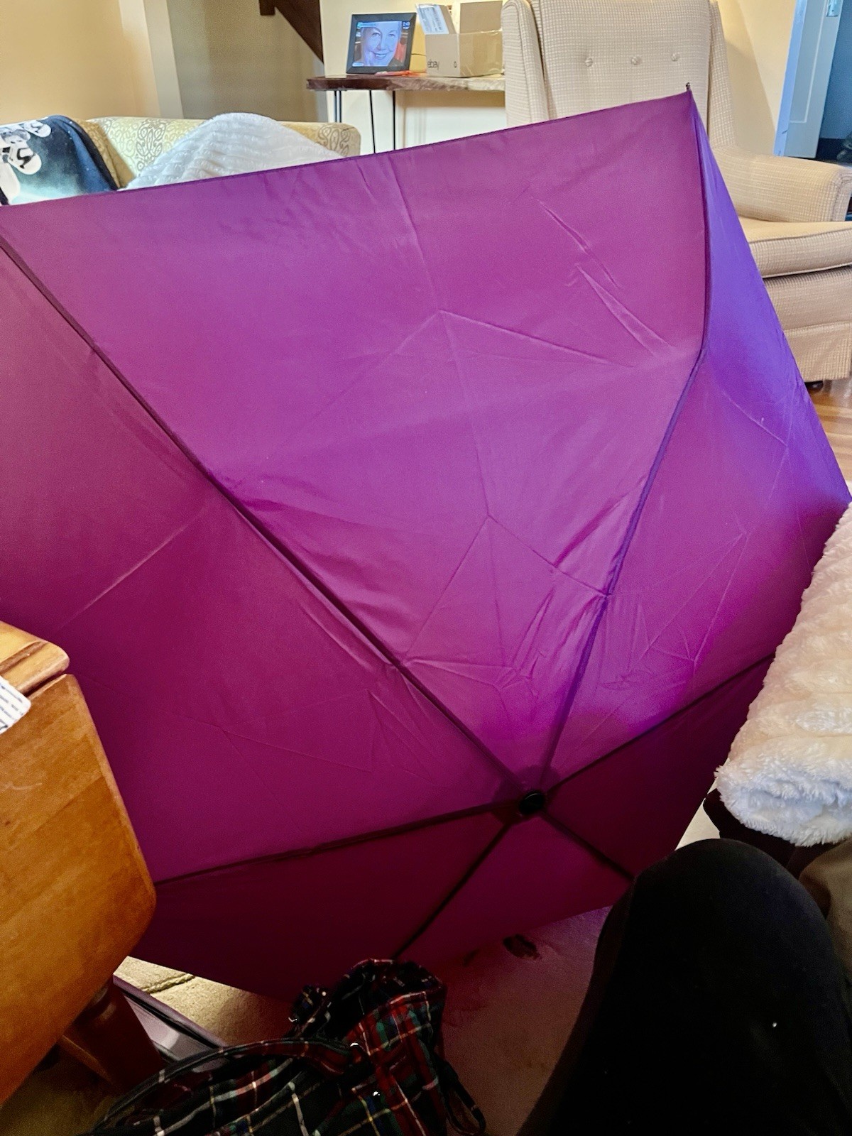 Rain Essentials Dark Purple New Umbrella