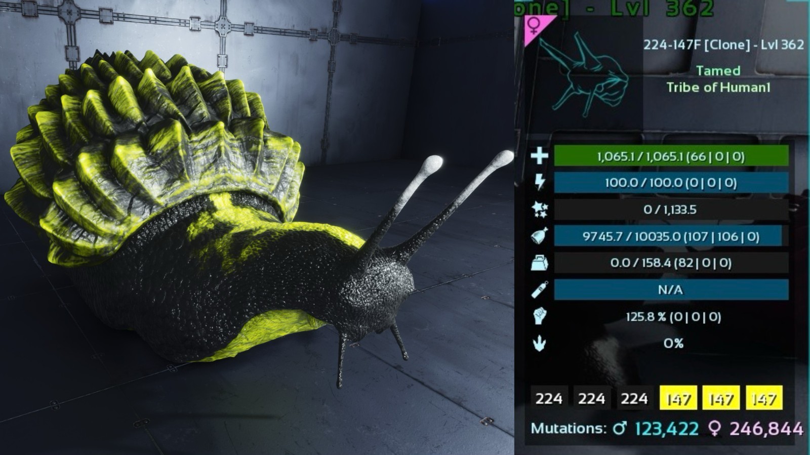 Achatina Level 362 Clone ARK🦕 Survival Ascended ASA PVE PC/XBOX/PS