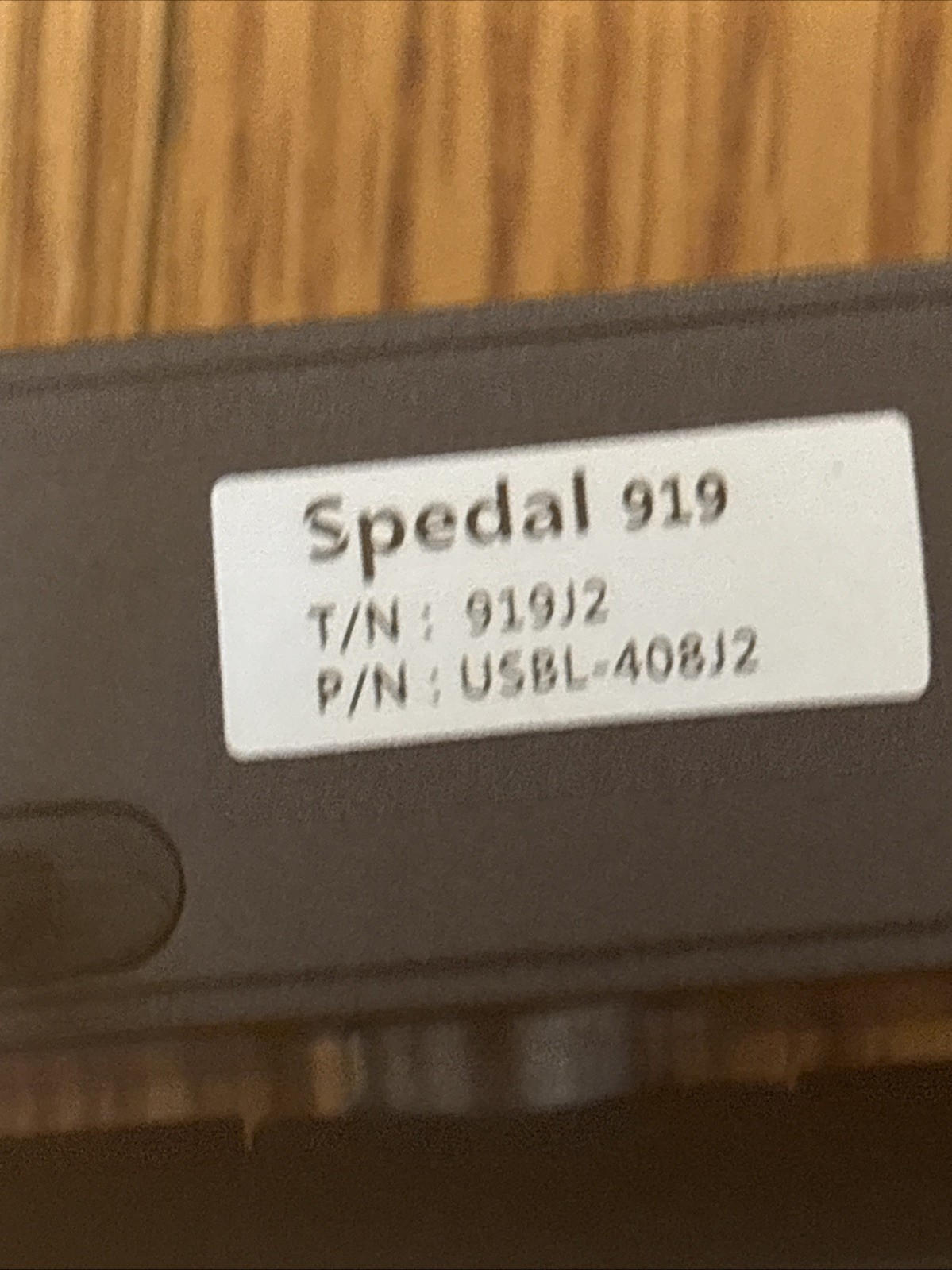 spedal webcam 919