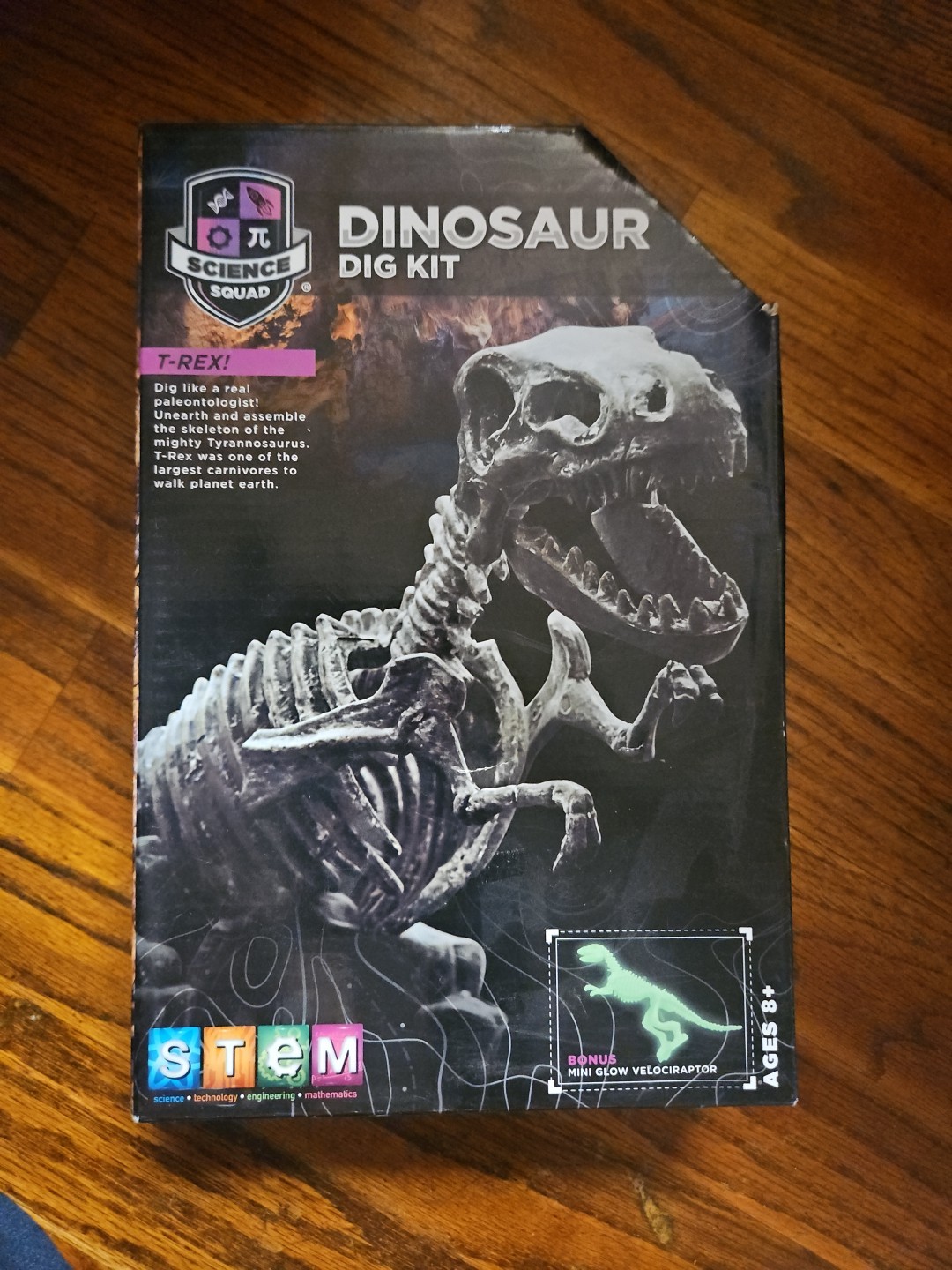Dinosaur Dig Kit  Adventure Science Squad STEM ACTIVITY NEW T-Rex!