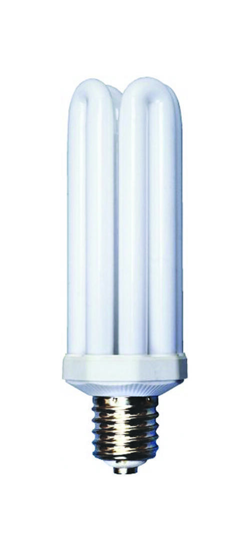 Compact Fluorescent Bulb, 65 W, Mogul E39 Lamp Base, 3800 Lumens, 6300 K Color T