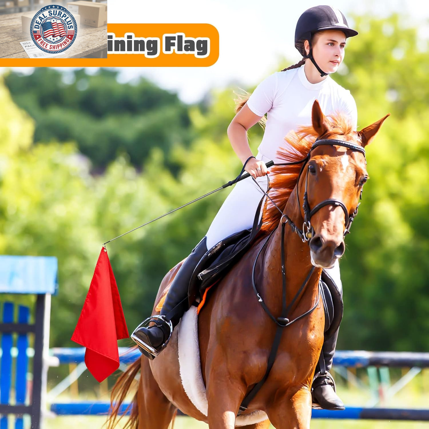 Equestrian Training Flag 4 Pieces Equestrian Training Equipment Nylon Flag with