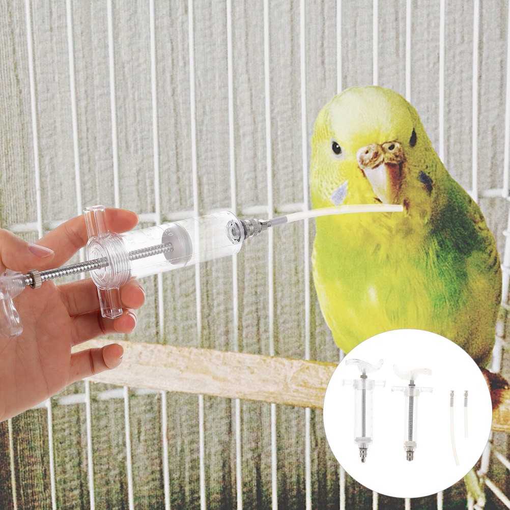 1 Set of Baby Bird Feeding Budgie Hand Cockatiel Rearing Supplies