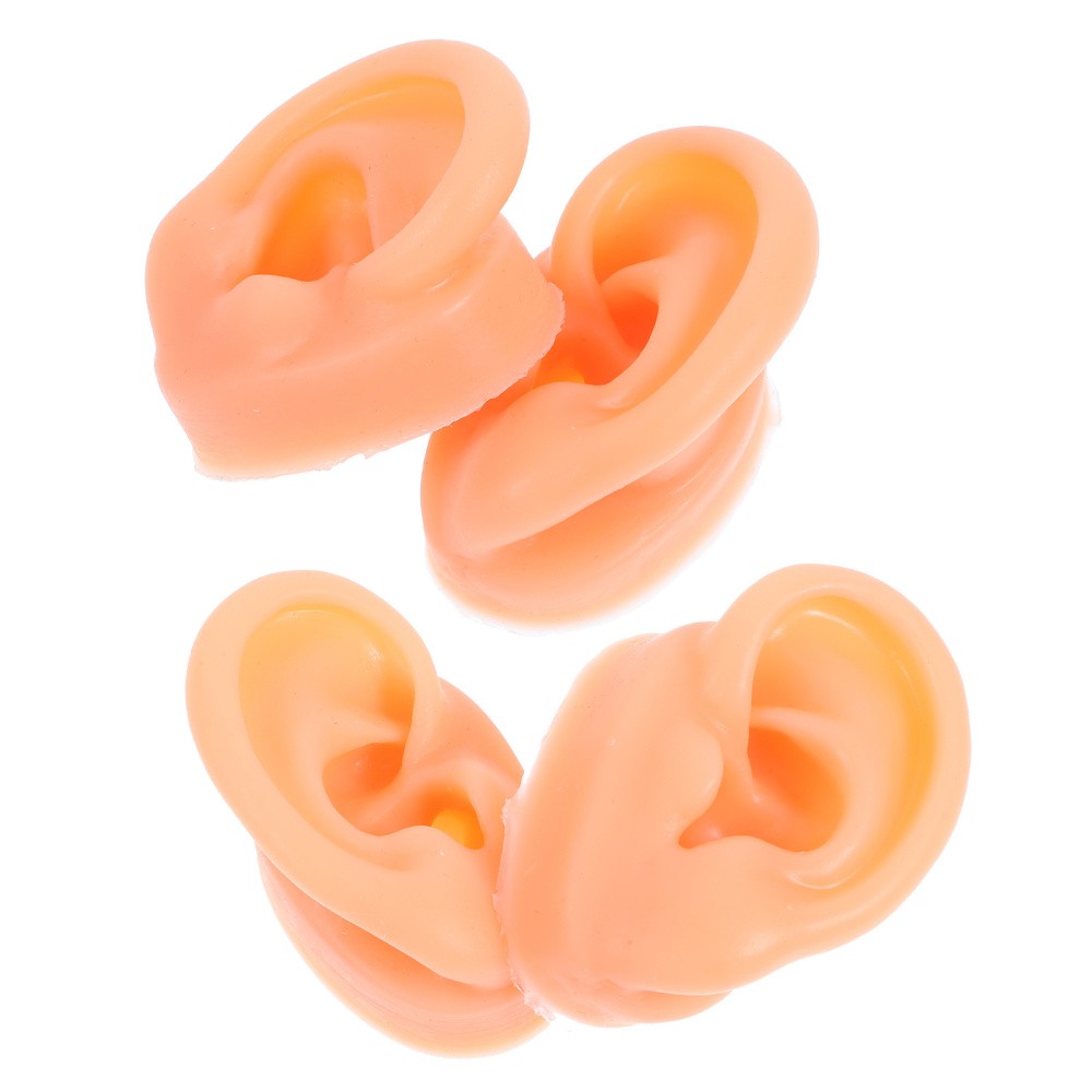 2 Pair Piercing Ear Model Human Anatomy Fake Display Mold Earpiece