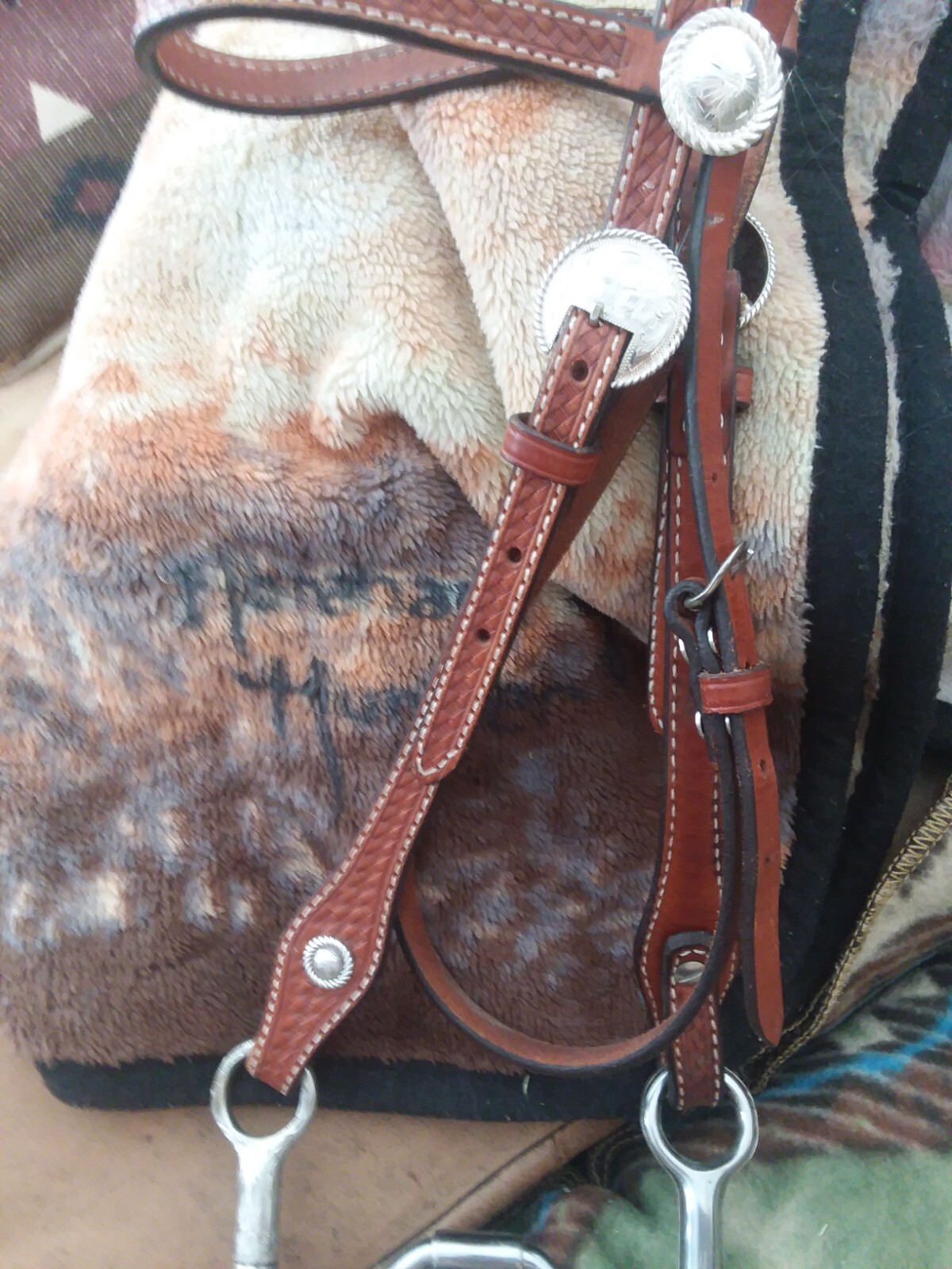 Tooled show bridle with sterling buckles, Fleming conchos & nice correction bit
