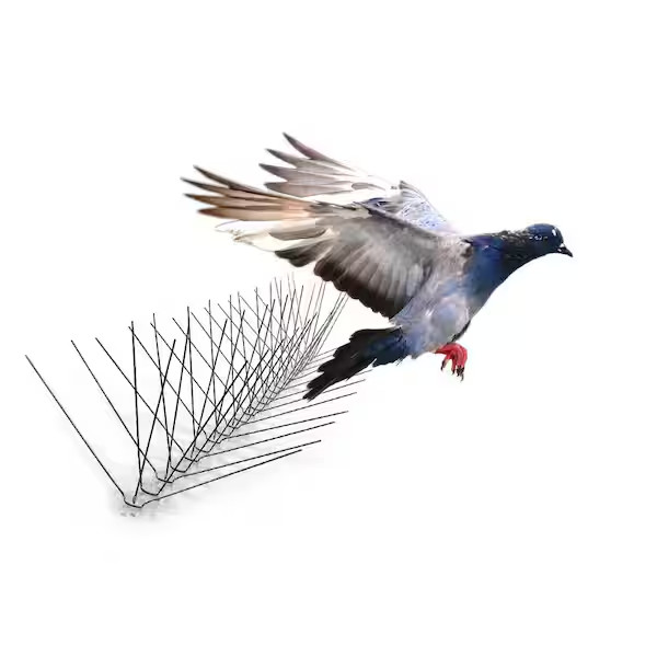 Bird-X Bird Spikes Stainless Steel 10 Ft Pigeon Seagull Control Outdoor Fence
