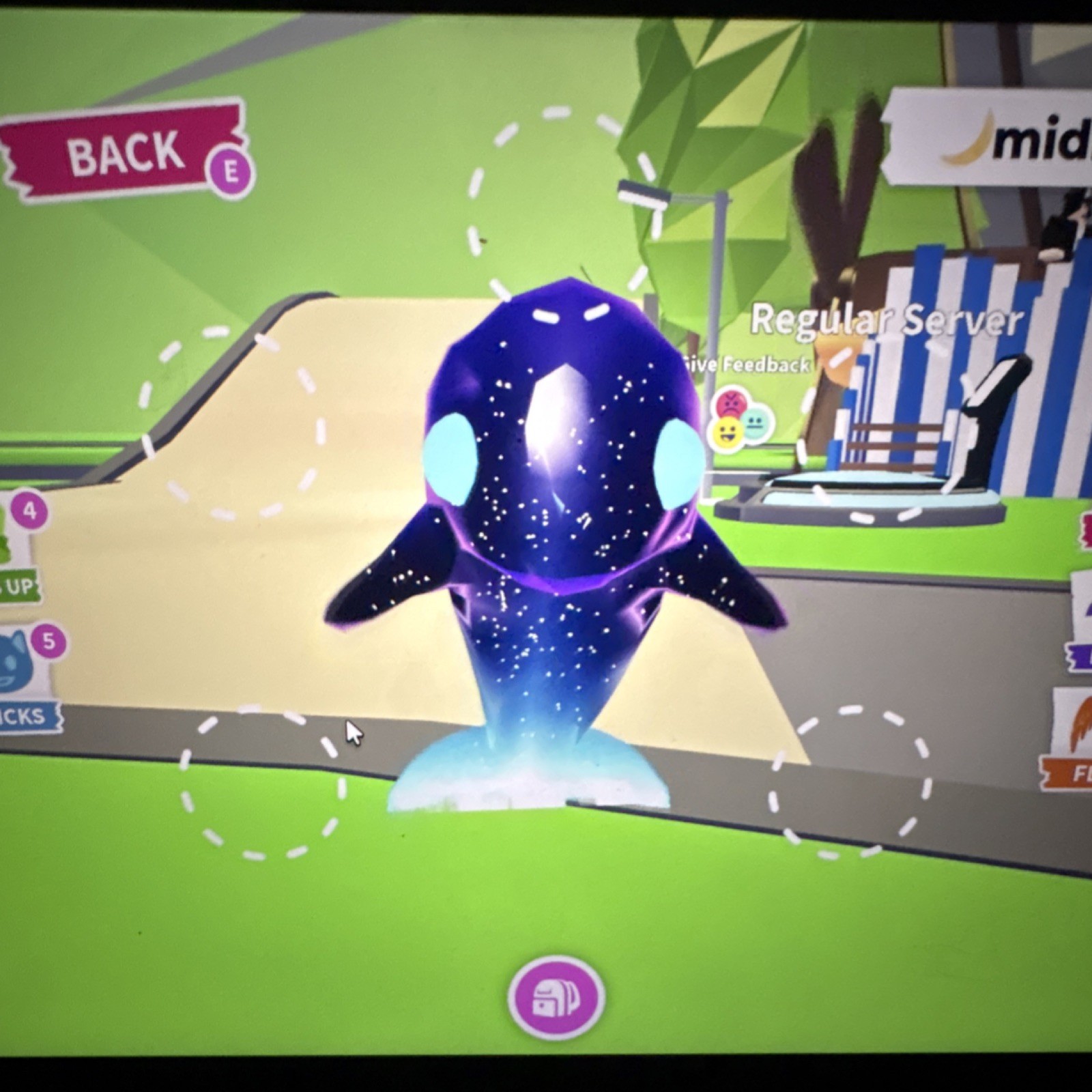 Roblox Adopt Me! Glormy dolphin flyable.