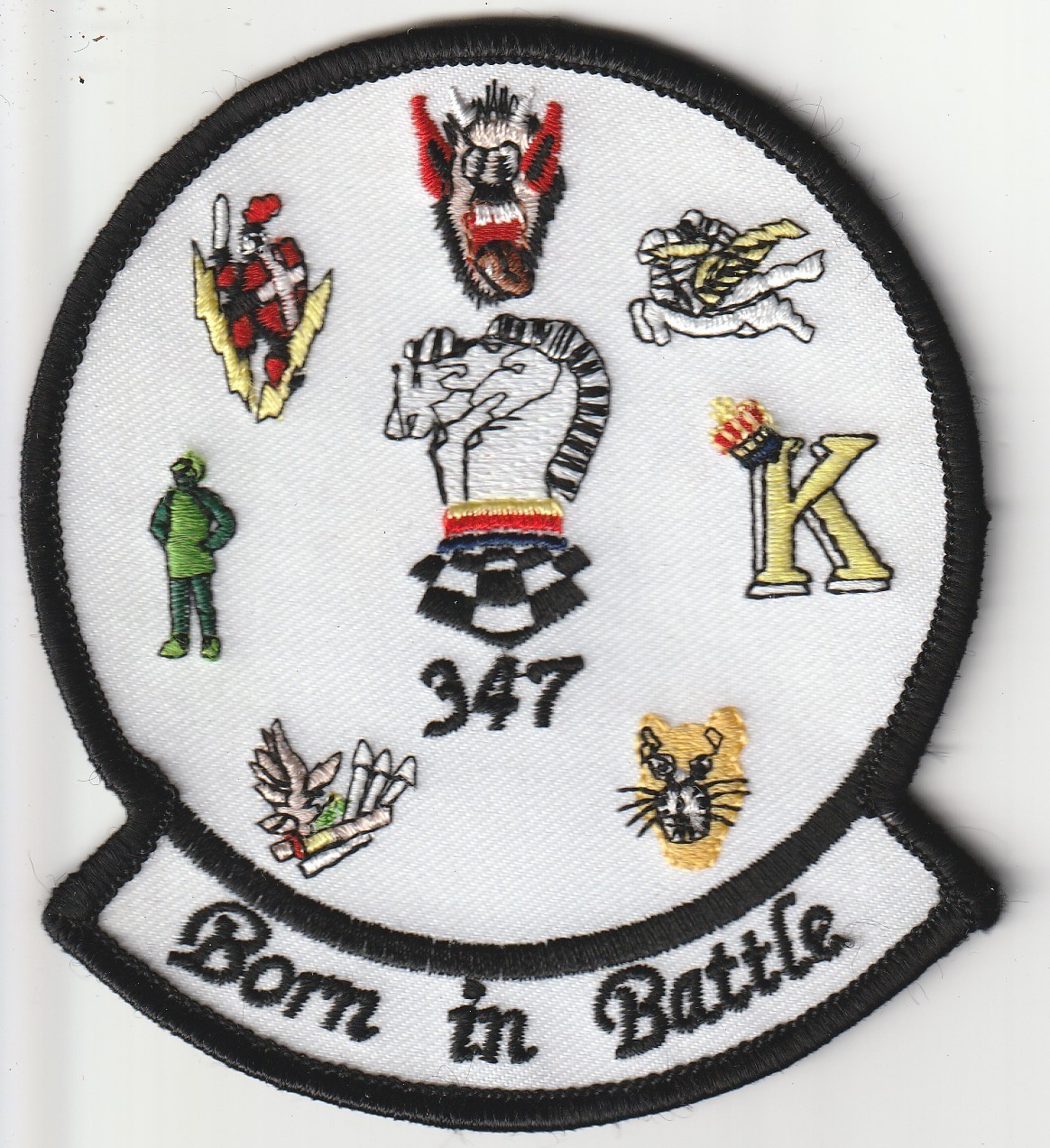 USAF air force 347th Wing Moody AFB Georgia Gaggle patch 1