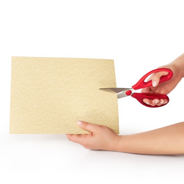 Kitchen Shears