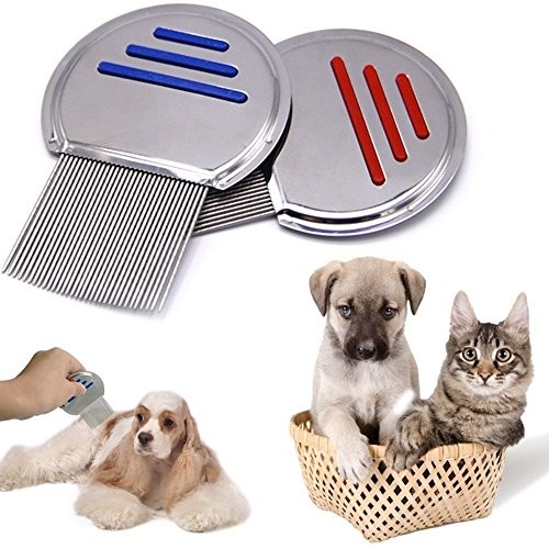 Professional Reusable Comb for Kids Adults Helix-Spiraled Comb 2Pack