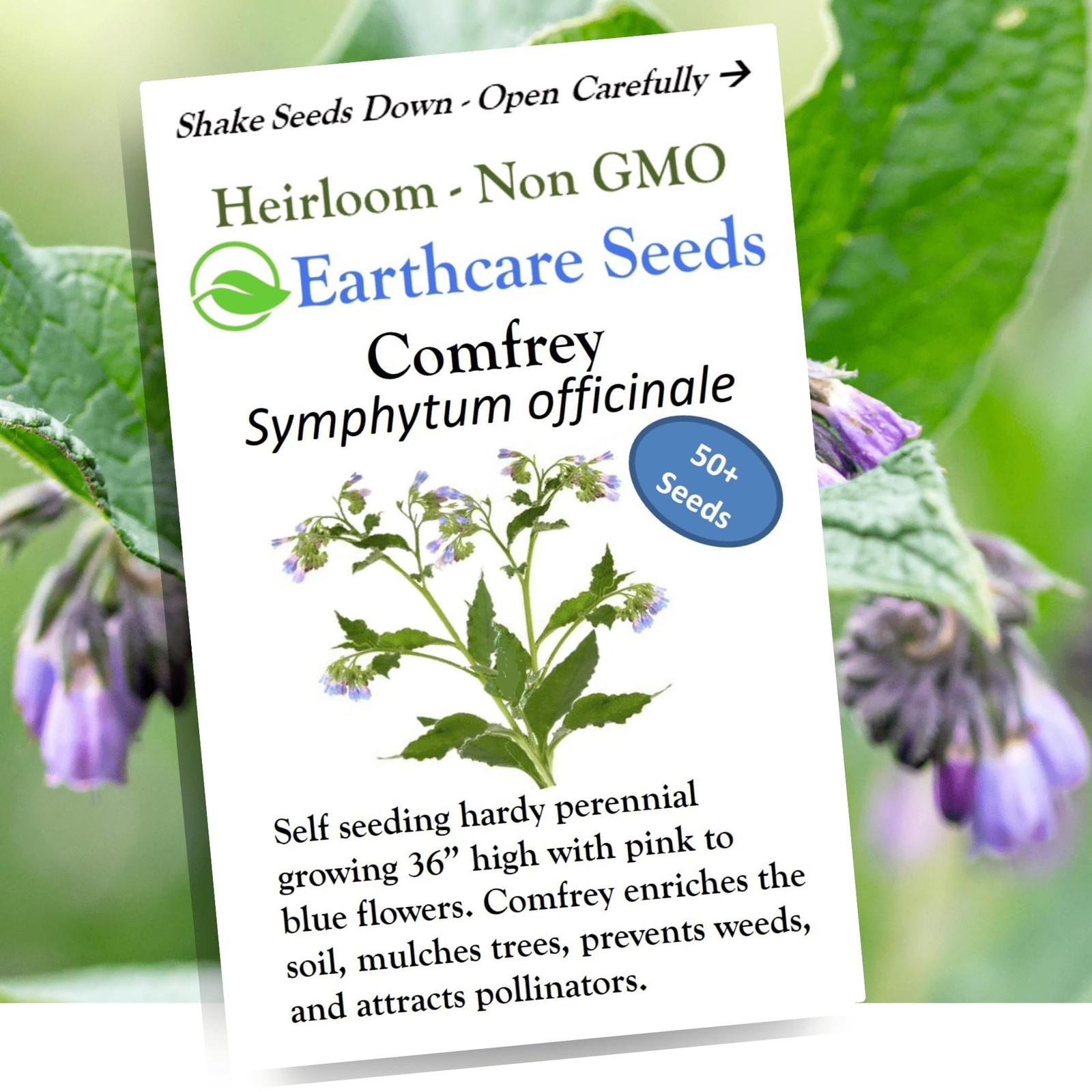 Earthcare Seeds True Comfrey 50 (Symphytum officinale) Non GMO, Purple