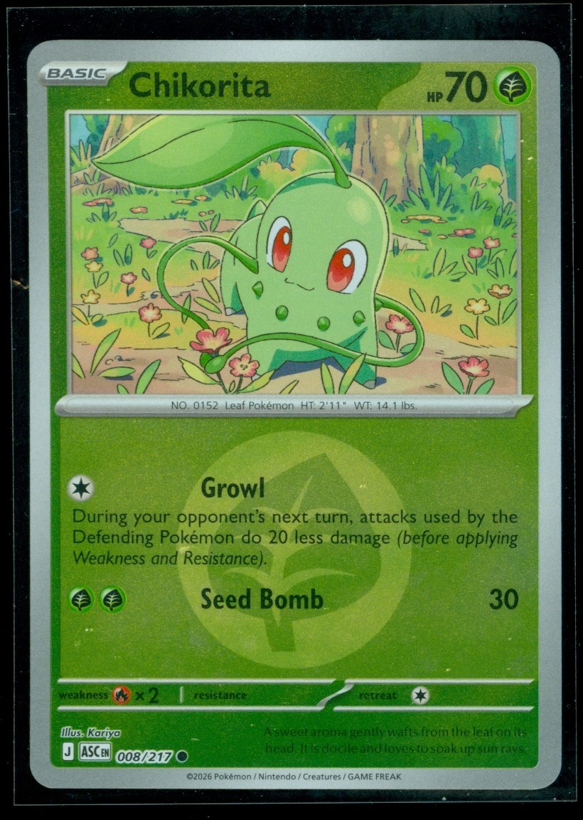 Pokemon CHIKORITA 008/217 Ascended Heroes - Rev Holo - MINT