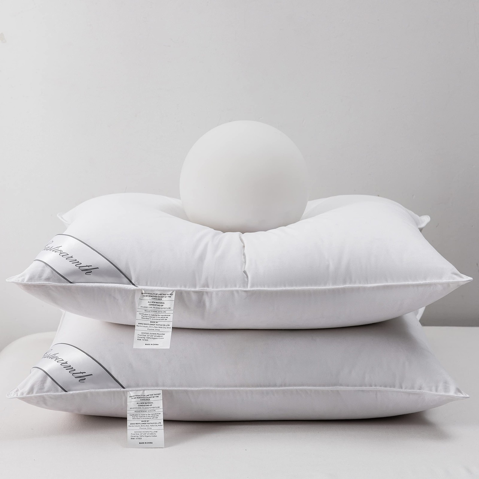 Eastwarmth Natural Goose Down&Feather Pair Hotel Standard (Pack of 2), White