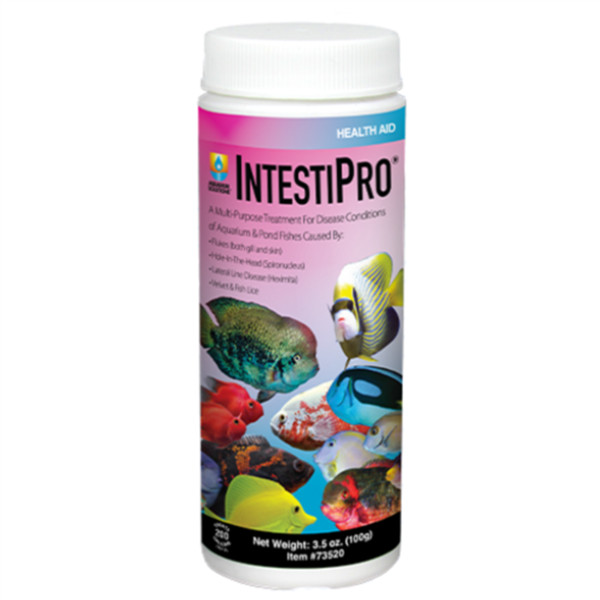 Hikari IntestiPro 3.5oz - Treats 200 Gallons