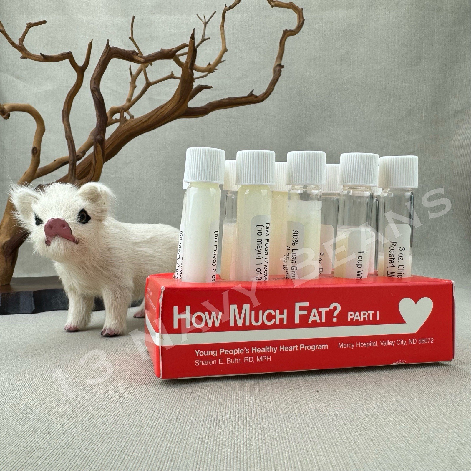 "How Much Fat?" Nutrition Education Fat Test Tubes Display
