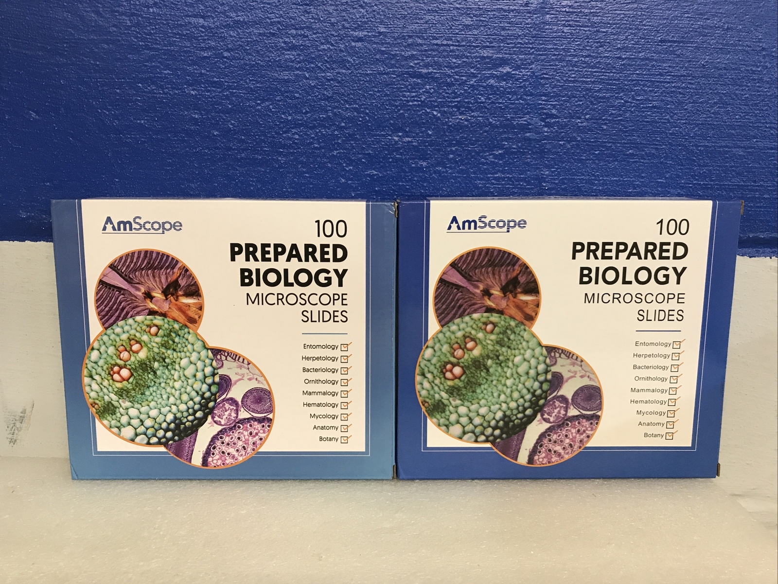 AmScope PS100D & PS100E Prepared Biology Microscope Slides 200 Total Slides New