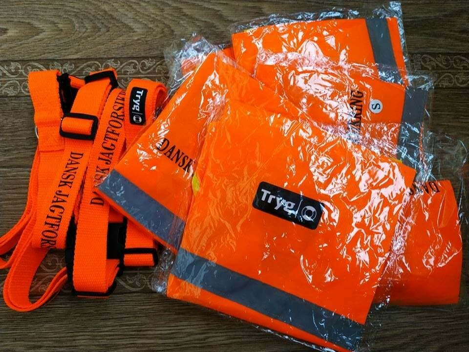 Collar and vest for hunting signal orange Dog.