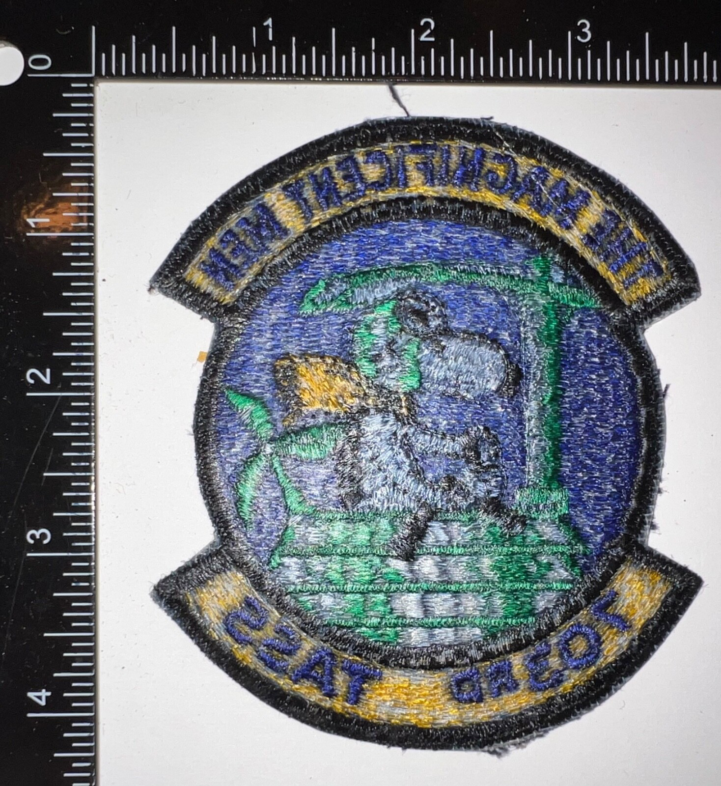 USAF US Air Force 703rd TASS Tactical Air Support Squadron Patch