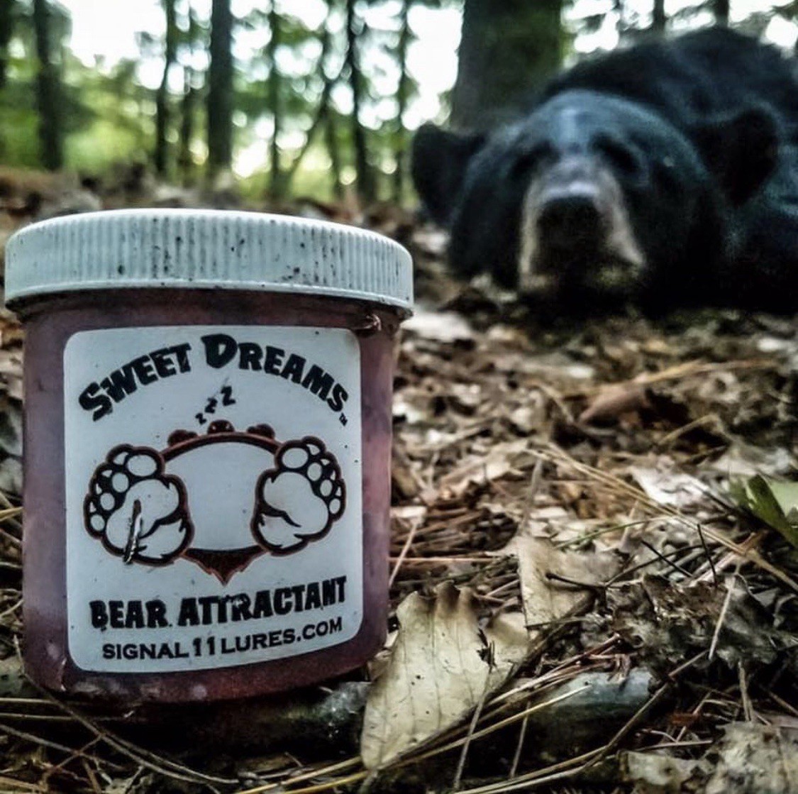 Bear attractant, “Sweet Dreams” gel, Great Stuff!