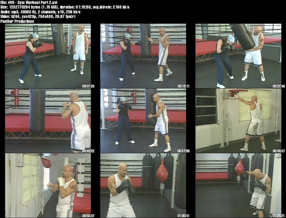 Modern Boxing starring Steve Hurley (7 DVD Set)