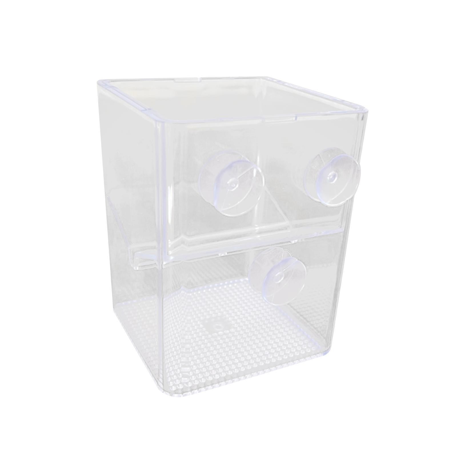Fish Breeding Isolation Box Fish Isolation Box Floating Square Acrylic