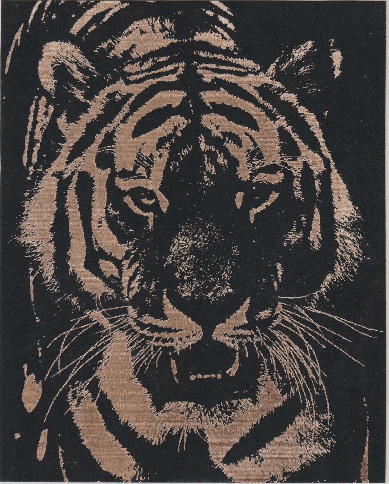 Tiger Roaring Scratchboard Art 8 x 10