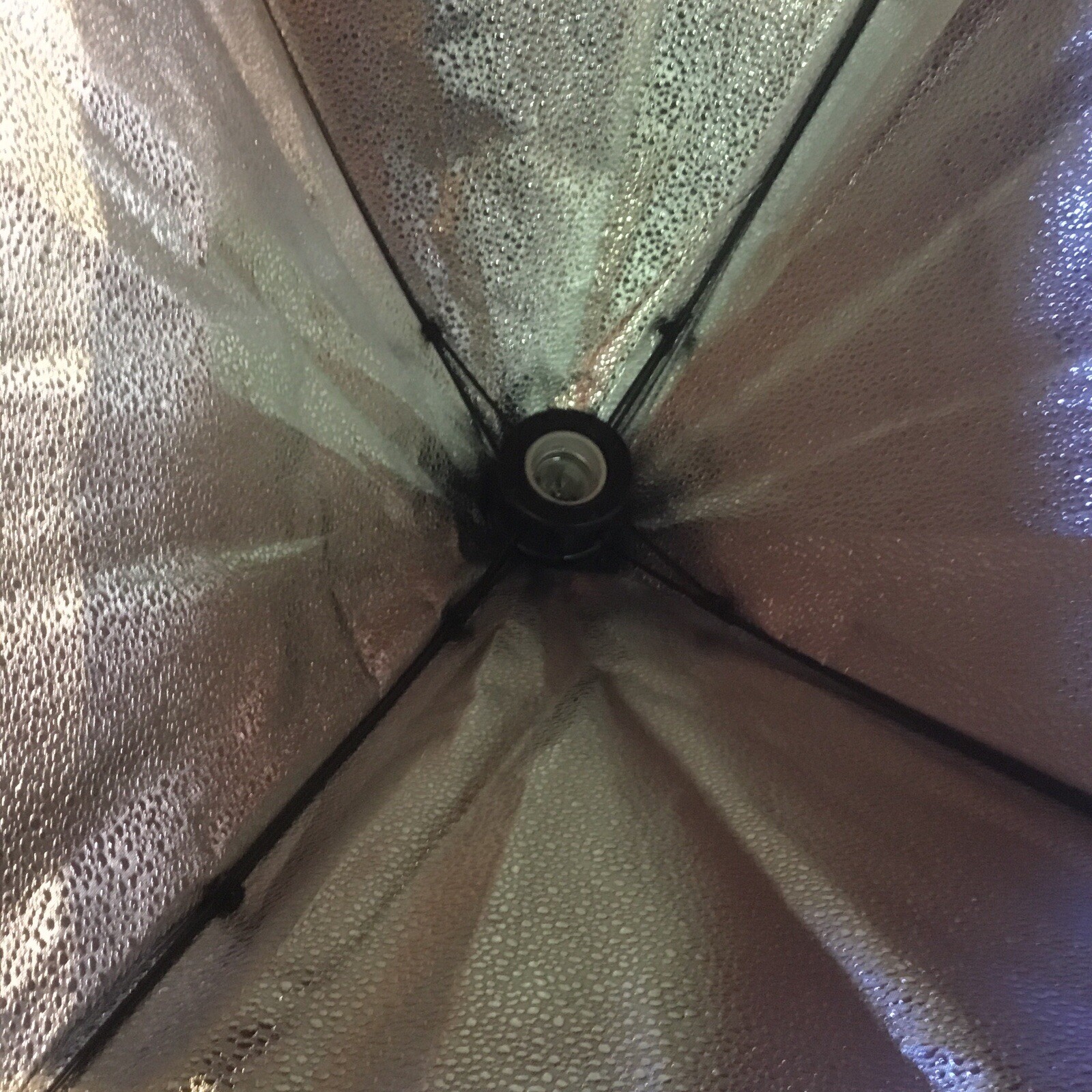 Mount Dog Soft box Lighting Set