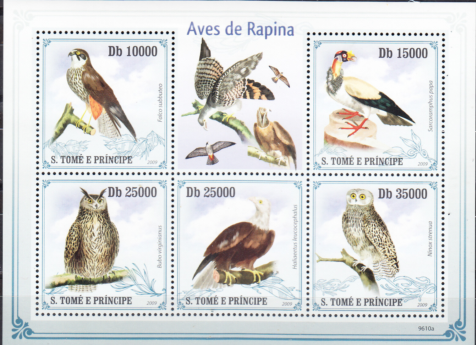 W SAINT-THOMAS 2186 BIRDS OF PREY