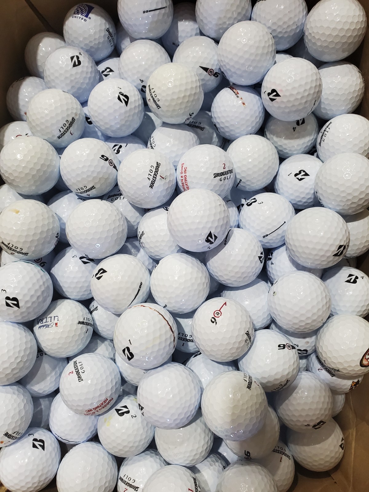 Bridgestone E6 48 Pack Used Golf Balls AAAA 4A Near Mint  Recycled Balls