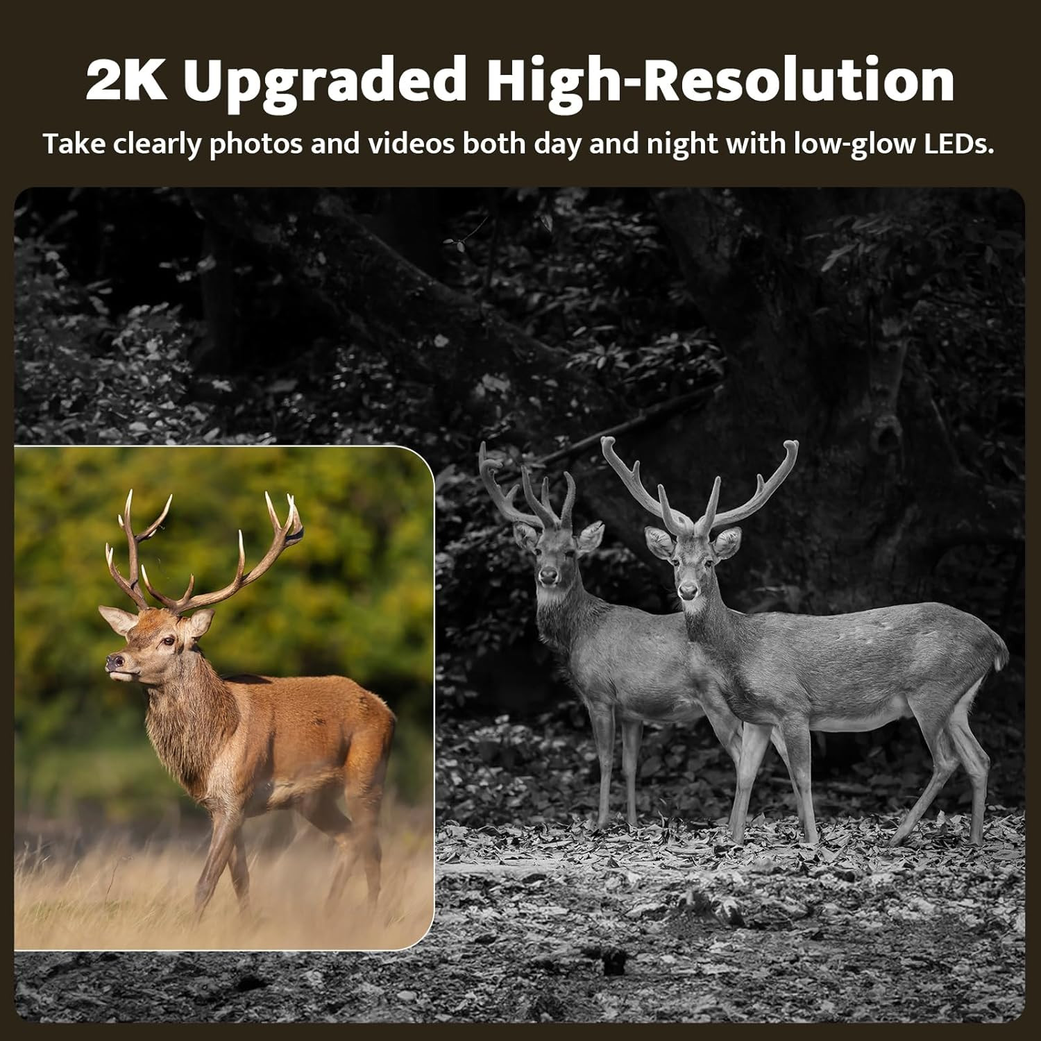Cellular Trail Cameras Live View Solar Powered 360° Deer Cameras Game Cameras T