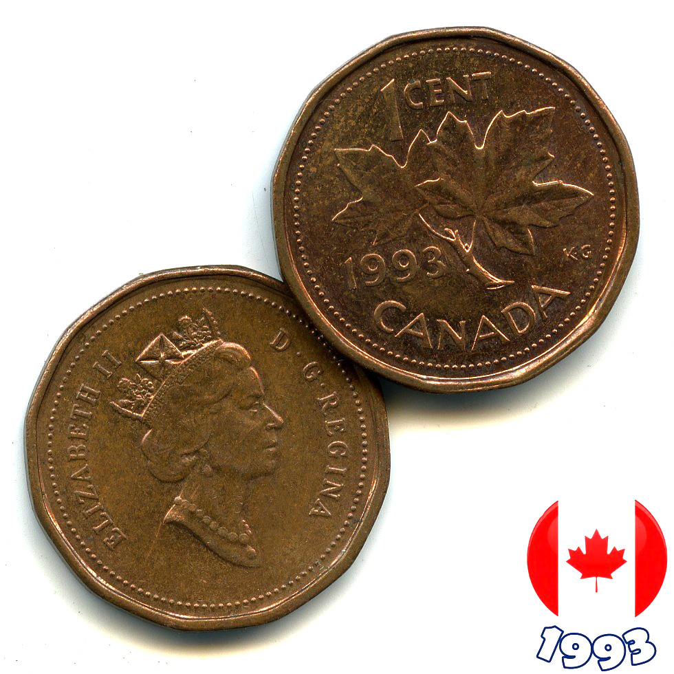 A Canadian 1993  1 Cent Penny Coin Elizabeth II Maple Leaf - Circulated
