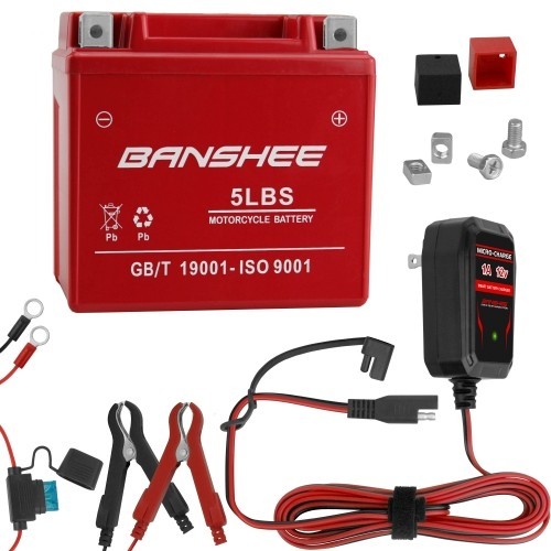YTX5L-BS GEL Battery for Yamaha TW 200 Trailway TW200BC and 12V Charger combo