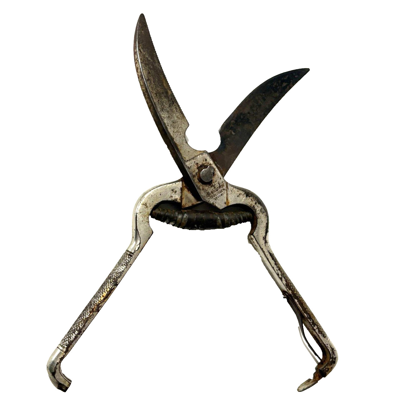 Poultry Shear Scissor Wusthof Sonlingen Germany 10" Locking Spring Vtg Serrated
