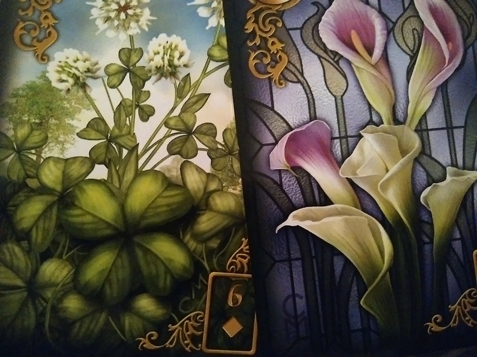 Psychic Reading Bundle/ Gift