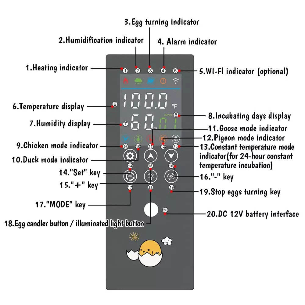 24 Eggs Incubator For Hatching Eggs with Automatic Egg Turning and Humid Brooder