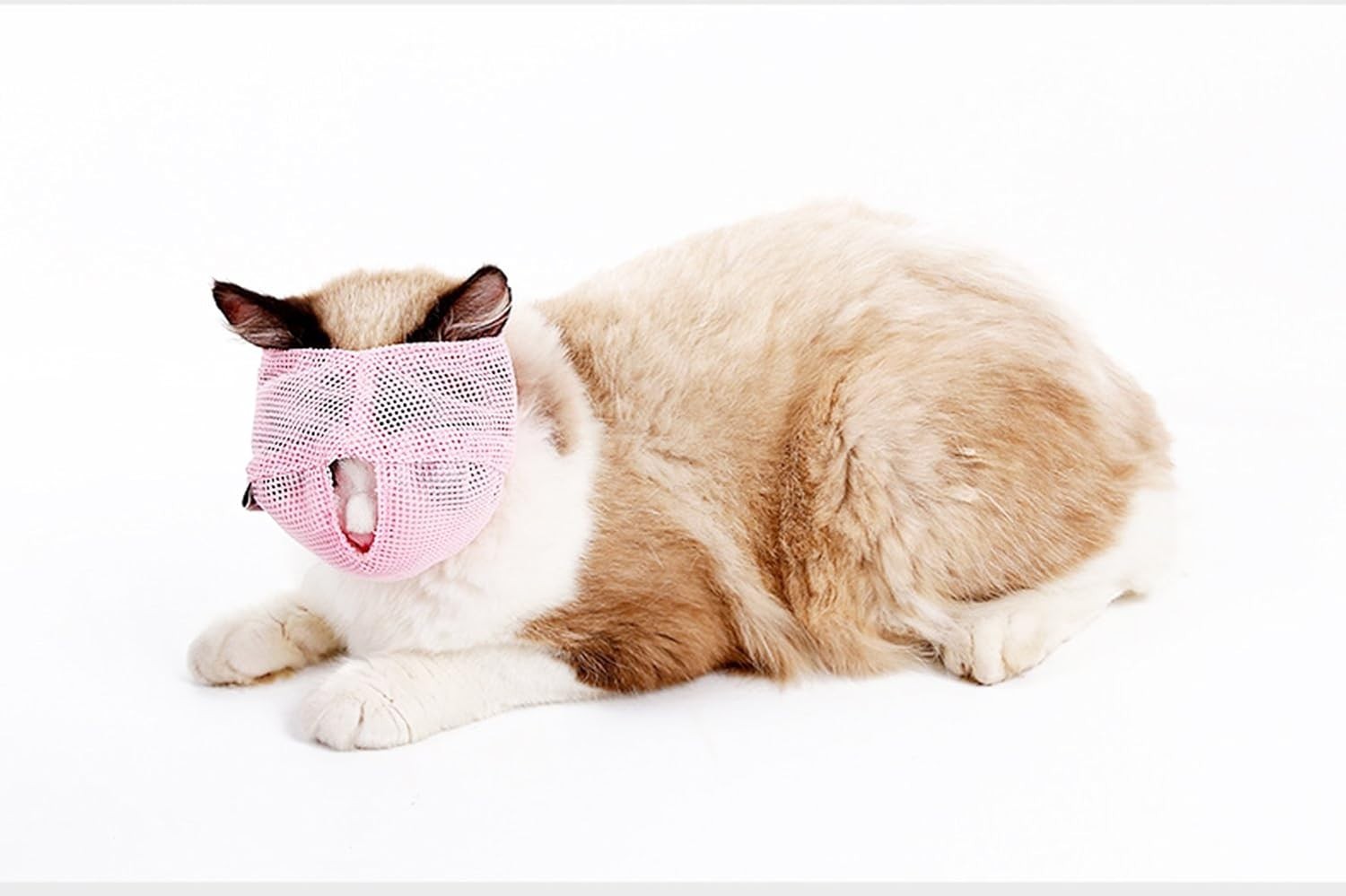 Cat Muzzles - Breathable Mesh Muzzles Prevent Cats from Biting and Chewing - ...